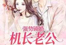 完整版《强势锁婚：机长老公揽腰宠》小说免费阅读-优文网