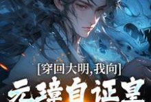 朱雄英朱元璋完整版《穿回大明，我向元璋自证皇长孙身份》小说免费阅读-优文网