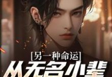 《另一种命运：从无名小辈开始逆袭》小说免费阅读完整版-优文网