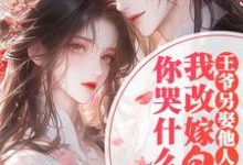 苏清阮完整版《王爷另娶她人，我改嫁皇叔你哭什么》小说免费阅读-优文网