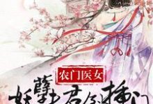 小说《农家医女：妖孽夫君倒插门》在线章节阅读-优文网