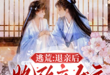 完结版《逃荒：退亲后，她改立女户招赘婿》章节目录在线阅读-优文网