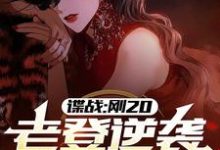 许敬元孙嘉棋小说《谍战：刚20，老登逆袭什么鬼？》在线阅读-优文网