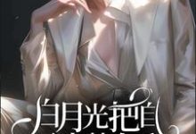 完结版《白月光把自己当替身后》在线免费阅读-优文网