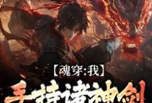 《魂穿：我手持诸神剑，踏平九重天》小说免费阅读完整版-优文网