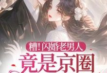 顾晚晚傅野小说《糟！闪婚老男人竟是京圈太子爷》完整版免费阅读-优文网