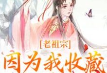 完结版《老祖宗因为我收藏的视频，被剧透！》免费阅读-优文网