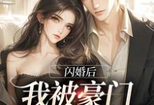 完整版《闪婚后，我被豪门老伴宠上天》小说免费阅读-优文网