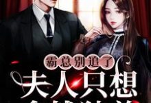 完整版《霸总别追了，夫人只想拿钱独美》小说免费阅读-优文网