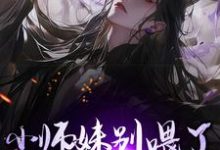 小说《小师妹别喂了，宗门已无敌！》章节免费阅读-优文网