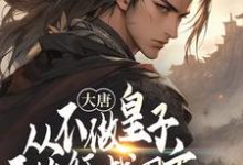 小说完整版《大唐：从不做皇子开始征战四方》免费阅读-优文网