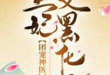 盛锦姝阎北铮小说免费阅读完整版-优文网