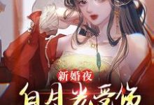 《新婚夜白月光受伤，娘子坐不住了》李九霄林诗薇完整版小说免费阅读-优文网