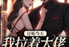 《订婚当天，我拉着大佬去领证》小说免费阅读完整版-优文网