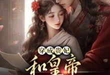 完结版《穿成贵妃，和皇帝绑定了气运》章节阅读-优文网