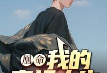 完结版《凰命：我的官场人生》章节目录在线阅读-优文网