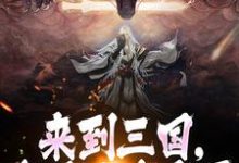 完结版《来到三国，这乱世我来平》在线免费阅读-优文网