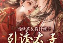 《当绿茶女将计就计，引诱太子沦陷后》小说免费阅读完整版-优文网