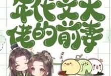 完整版《穿成年代文大佬的前妻》小说免费阅读-优文网