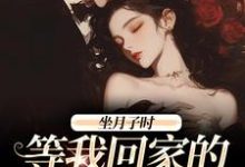 完结版《坐月子时，等我回家的前夫疯了》在线免费阅读-优文网