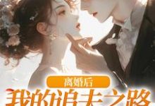 完结版《离婚后，我的追夫之路全是坎》免费阅读-优文网