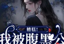 《糟糕！我被腹黑公子缠上了》苏妩顾妄小说免费阅读完整版-优文网