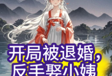 完结版《开局被退婚，反手娶小姨子？》章节目录在线阅读-优文网