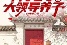 《年代七零，开局大领导养子》全集免费在线阅读（周子安）-优文网