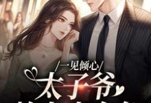 完结版《一见倾心：太子爷赖上小白兔》章节阅读-优文网