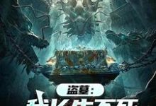 完结版《盗墓：我长生不死，墓主都是小辈》章节阅读-优文网