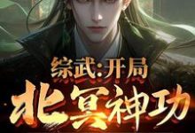 完结版《综武：开局北冥神功，获万年内力》章节阅读-优文网