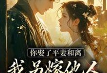 完结版《你娶了平妻和离，我另嫁他人拦什么》免费阅读-优文网