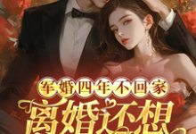 顾衍掣盛知夏小说完整版《军婚四年不回家，离婚还想不离床》免费阅读-优文网