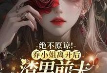 乔南希小说免费阅读完整版-优文网