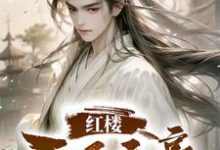 完结版《红楼：天下文豪》章节阅读-优文网