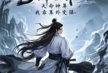 完结版《神雕：天命神算，我靠算卦变强》免费阅读-优文网