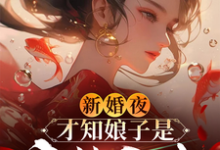 李清廉沈玉书小说完结版在线阅读，新婚夜，才知娘子是魔教圣女免费看-优文网